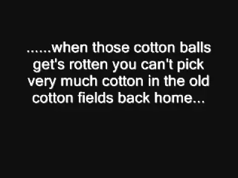 Download MP3 CCR   cotton fields lyrics