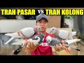 Download Lagu TEST!! MERPATI SILVER PUPUR LAMA VS SILVER PUPUR BARU