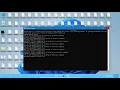 Crashing Windows 11 Using Batch Script and Python