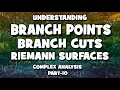 What are Branch cuts Branch Points and Riemann Surfaces complex analysis part-10 by mathOgenius