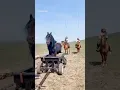 Download Lagu Waarom films niet altijd echte paarden gebruiken