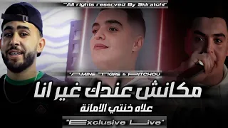 Amine Tigre Makanch 3andek Ghil Ana علاه خنتي الامانة Avec Pitchou Live 