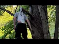 Hanging Wedgie on tree