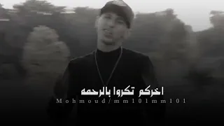 مفيش عصفور يعادي نسور محمد البصيلي 2025 حلا الترك 