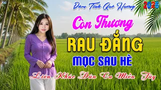 CÒN THƯƠNG RAU ĐẮNG MỌC SAU HÈ - CA SĨ KIM TUYỀN ► Lk Nhạc Dân Ca Miền Tây Chọn Lọc Hay Nhất 2026