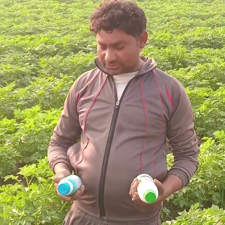 हापुड़ के किसान बबलू त्यागी ने बताया आलू की उत्तम खेती का कैसा तरीका  |वनइंडिया हिंदी