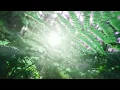 ​ZOH - Justaju | Visualizer | Lofi | Chill | Downtempo