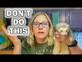 5 MISTAKES New Ferret Owners Make