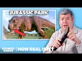 Download Lagu Paleontologist Rates 14 Dinosaur Attacks In The \