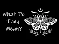 Lagu The Symbolism of Moths