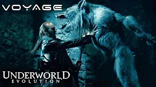 underworld evolution markus frees the lycan voyage