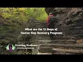 What are the 12 Steps of the 12 Step Recovery Programs