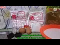 Download Lagu Cara membuat kue kembang loyang dengan benar