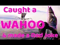 Download Lagu spearfishing wahoo in bali, indonesia