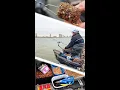 FEEDERVISSEN OP DE BERGSE MAAS || VOER EN AAS.
