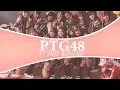 PTG48| 10nen Zakura (10年桜)