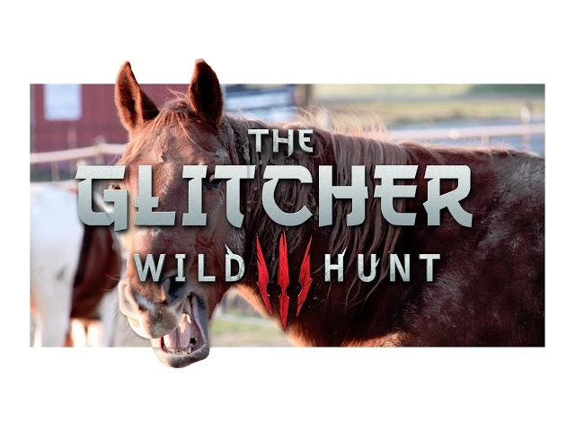 The Glitcher 3: Bug Hunt