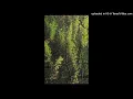 Hiroshi Yoshimura - View from My Window