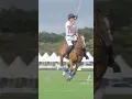 β¨Poloβ¨