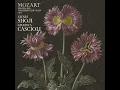 Mozart: Violin Sonata in E Minor, K. 304: II. Tempo di minuetto - Sayaka Shoji, Gianluca Cascioli & Wolfgang Amadeus Mozart
