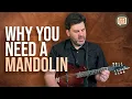 Lagu Why Guitarists Should Play Mandolin - ASK ZAC EP 25