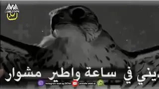 في سكتك خذني معك ياطير مرفوق دندنها