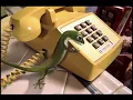 GEICO - Yellow Phone 2000 USA