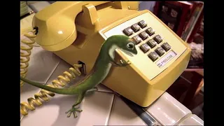 GEICO - Yellow Phone 2000 USA