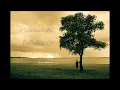 Stay - Palmy