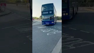             دندنها