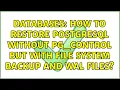 Databases How to restore Postgresql without pg - control but with file system backup and wal files