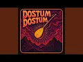 Dostum Dostum