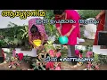 Lagu #plants 🧿സൃഷ്ടി #garden