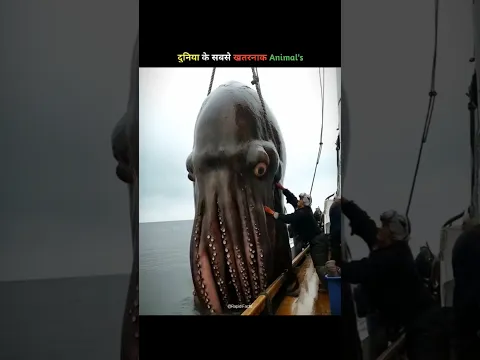 #bts