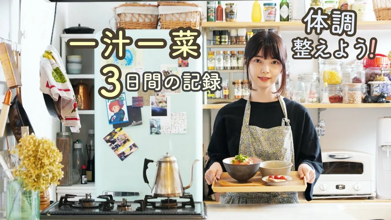 豆腐入り照り玉ハンバーグ