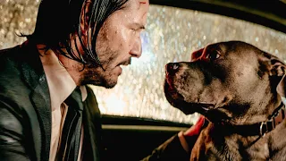 المافيا قتلت كلبه ولايعرفون أنه قاتل محترف وسينتقم منهم بأبشع طريقة JOHN WICK 1 2 