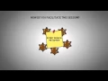 Ecosystem Mapping Through Facilitation