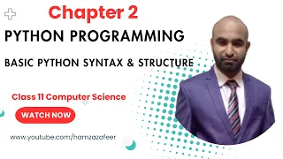 Python Basics Explained Variables Data Types Input Output Functions Class 11 Computer Sci