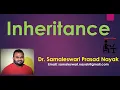 Inheritance in Java