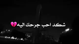شكد احبك يا اناني شاشه سوداء حالات واتساب دندنها