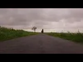 Relaxing Sounds of Light Rain and Soothing Wind Blowing Through Vegetation on an Abandoned Road - 4K