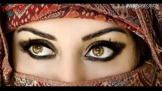 بتحبني طبعا ياحياتي الفنان حميد الشاعري 