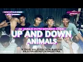 Download Lagu DJ UP AND DOWN X ANIMALS V2❗• BAS NGUK • PARTY • TRAP MIDLE TASSO | PGG REVOLUTION