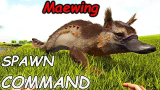 Maewing ARK Spawn Command How To SUMMON Maewing ARK Code