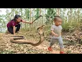 Download Lagu Harvesting Melons Goes to the market sell - Snake Breaks Into House While Mother Is Away