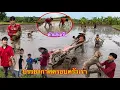 Download Lagu ปีนี้้นาบ่าวสุข ครึกครื้นมากคนมาช่วยเยอะมาก ปีนี้น่าจะเสร็จไวกว่าทุกปี|ປີນີ້ນາບ່າວສຸກຄຶ້ນຄື້ນຫລາຍ