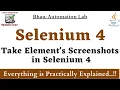 Take Screenshot of WebElement in Selenium How to Capture WebElement Screenshot in Selenium