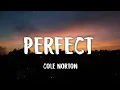 Download Lagu Cole Norton - Perfect (letra/lyrics)