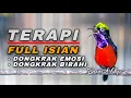 Download Lagu TERAPI KONIN GACOR FULL ISIAN AMPUH UNTUK DONGKRAK EMOSI BIRAHI COCOK BUAT KOLIBRI NINJA BAHAN IJOAN
