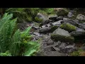 Residential Land for Sale in Magra TAS 869 Back River Rd